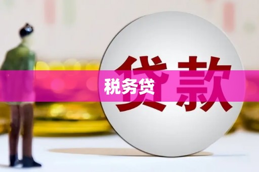 郸城税务贷