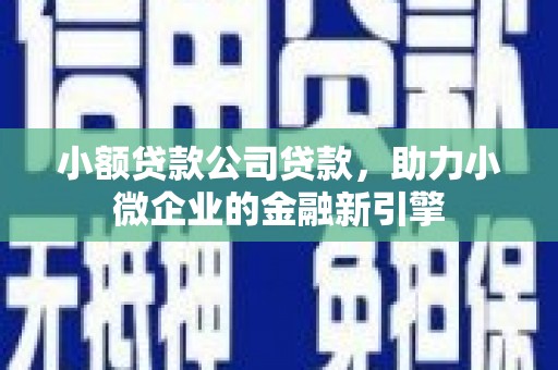 郸城小额贷款公司贷款，助力小微企业的金融新引擎