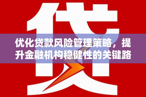 郸城优化贷款风险管理策略，提升金融机构稳健性的关键路径