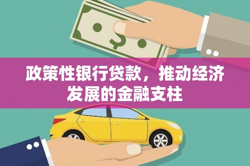 郸城政策性银行贷款，推动经济发展的金融支柱