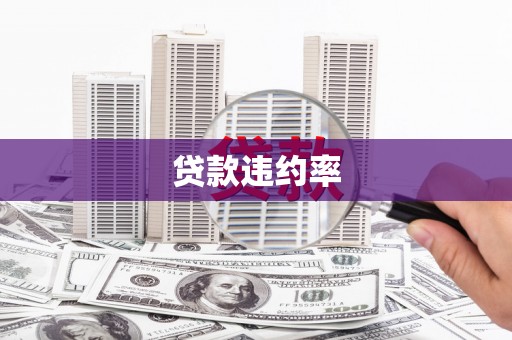 郸城贷款违约率
