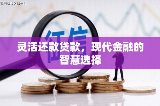 郸城灵活还款贷款，现代金融的智慧选择