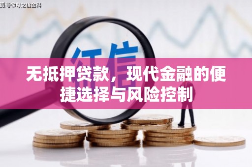 郸城无抵押贷款，现代金融的便捷选择与风险控制