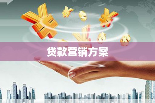 郸城贷款营销方案