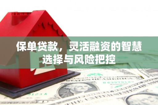 郸城保单贷款，灵活融资的智慧选择与风险把控