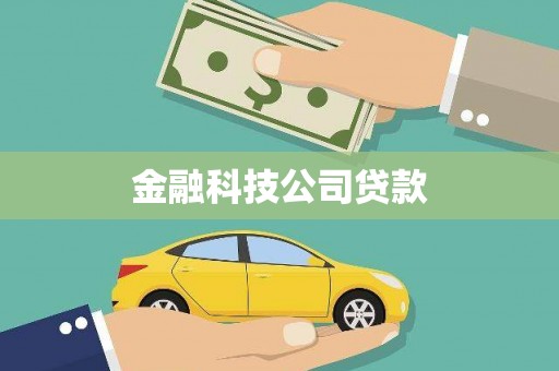 郸城金融科技公司贷款