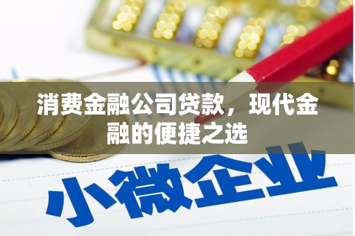 郸城消费金融公司贷款，现代金融的便捷之选