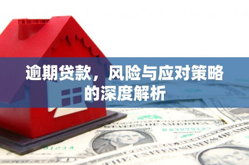 郸城逾期贷款，风险与应对策略的深度解析