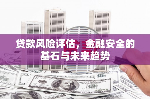 郸城贷款风险评估，金融安全的基石与未来趋势
