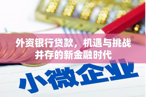 郸城外资银行贷款，机遇与挑战并存的新金融时代