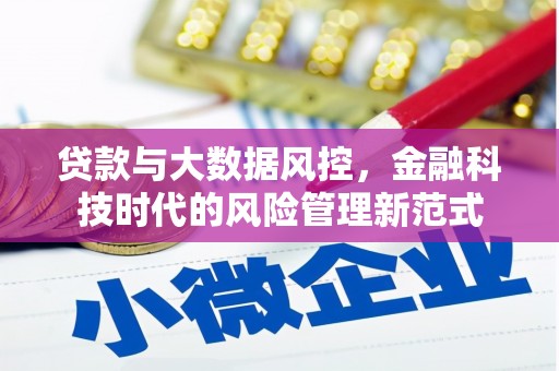 郸城贷款与大数据风控，金融科技时代的风险管理新范式