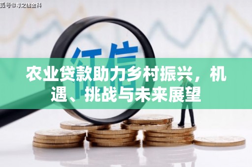 郸城农业贷款助力乡村振兴，机遇、挑战与未来展望