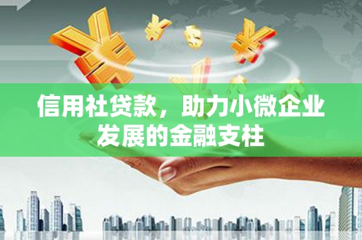 郸城信用社贷款，助力小微企业发展的金融支柱