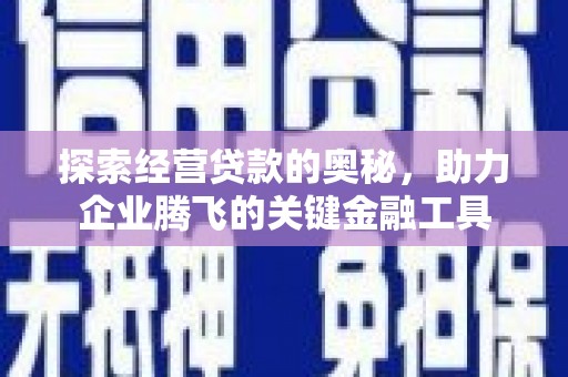 郸城探索经营贷款的奥秘，助力企业腾飞的关键金融工具