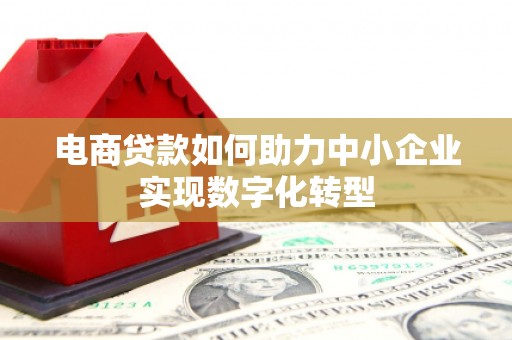 郸城电商贷款如何助力中小企业实现数字化转型