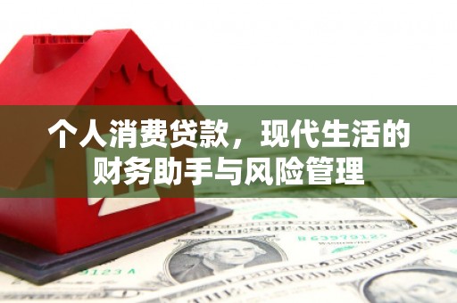 郸城个人消费贷款，现代生活的财务助手与风险管理