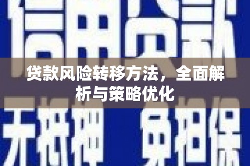 郸城贷款风险转移方法，全面解析与策略优化