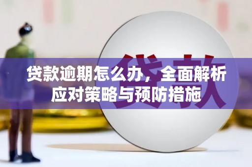 郸城贷款逾期怎么办，全面解析应对策略与预防措施