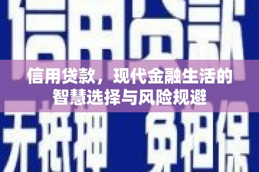 郸城信用贷款，现代金融生活的智慧选择与风险规避