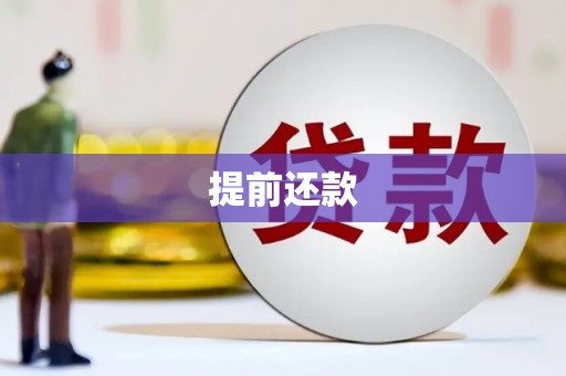 郸城提前还款