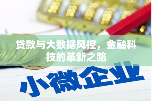 郸城贷款与大数据风控，金融科技的革新之路