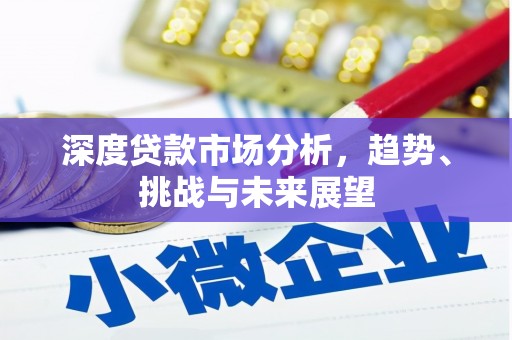郸城深度贷款市场分析，趋势、挑战与未来展望