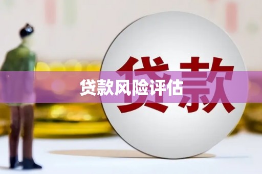 郸城贷款风险评估