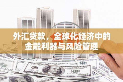郸城外汇贷款，全球化经济中的金融利器与风险管理