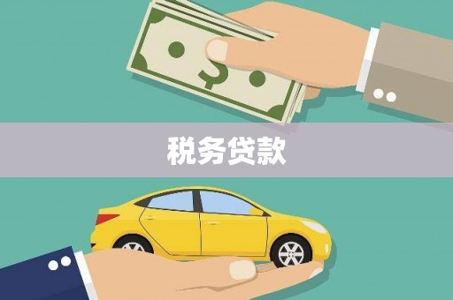 郸城税务贷款