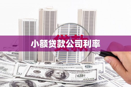 郸城小额贷款公司利率