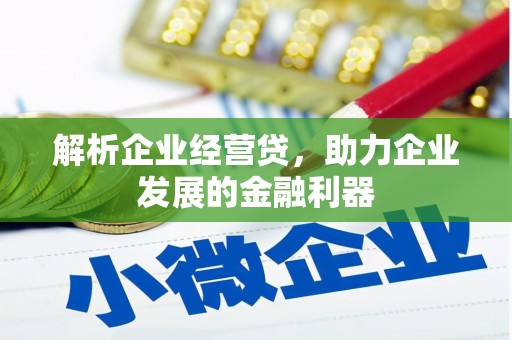 郸城解析企业经营贷，助力企业发展的金融利器