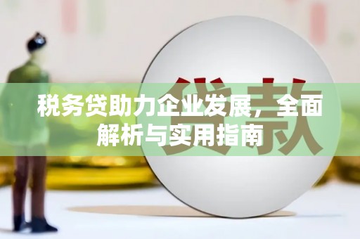 郸城税务贷助力企业发展，全面解析与实用指南