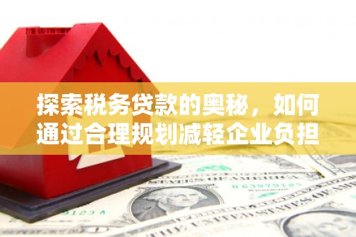 郸城探索税务贷款的奥秘，如何通过合理规划减轻企业负担