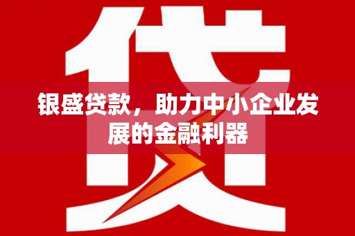 郸城银盛贷款，助力中小企业发展的金融利器