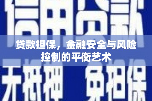 郸城贷款担保，金融安全与风险控制的平衡艺术
