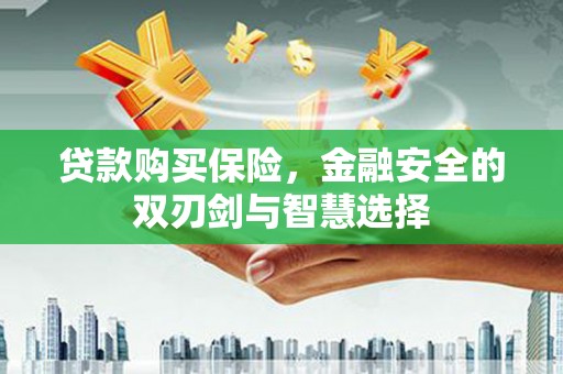 郸城贷款购买保险，金融安全的双刃剑与智慧选择