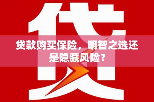 郸城贷款购买保险，明智之选还是隐藏风险？