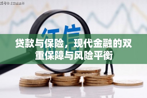 郸城贷款与保险，现代金融的双重保障与风险平衡
