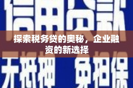 郸城探索税务贷的奥秘，企业融资的新选择