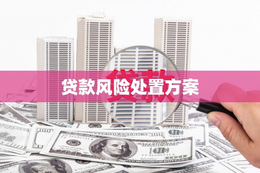 郸城贷款风险处置方案