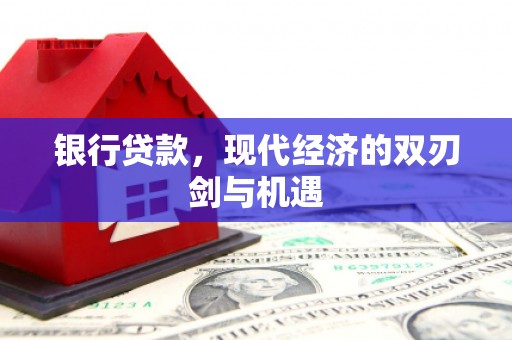 郸城银行贷款，现代经济的双刃剑与机遇