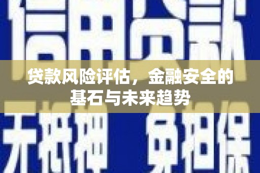 郸城贷款风险评估，金融安全的基石与未来趋势