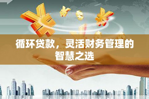 郸城循环贷款，灵活财务管理的智慧之选
