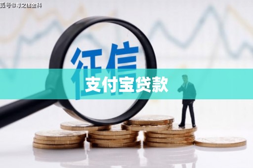 郸城支付宝贷款