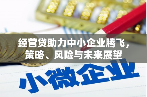 郸城经营贷助力中小企业腾飞，策略、风险与未来展望