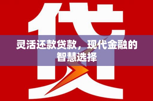 郸城灵活还款贷款，现代金融的智慧选择