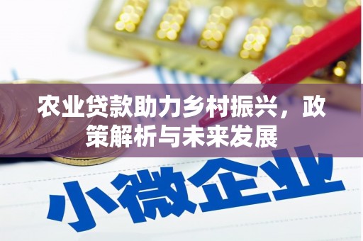 郸城农业贷款助力乡村振兴，政策解析与未来发展