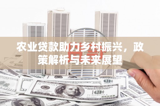 郸城农业贷款助力乡村振兴，政策解析与未来展望