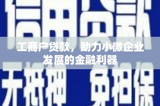 郸城工商户贷款，助力小微企业发展的金融利器