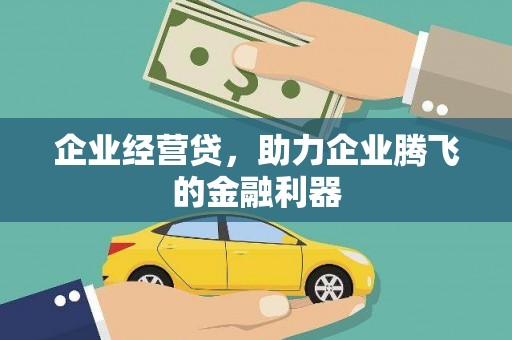 郸城企业经营贷，助力企业腾飞的金融利器